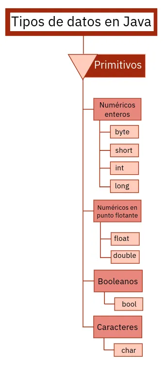 Tipos de datos primitivos